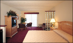 Spacious Rooms