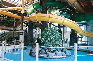 Moose Mountain Falls at Timber Ridge Water  Park